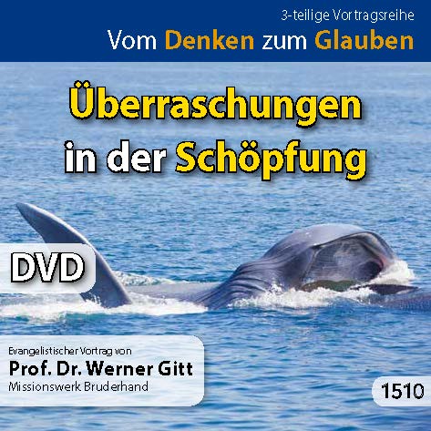 Überraschungen in der Schöpfung